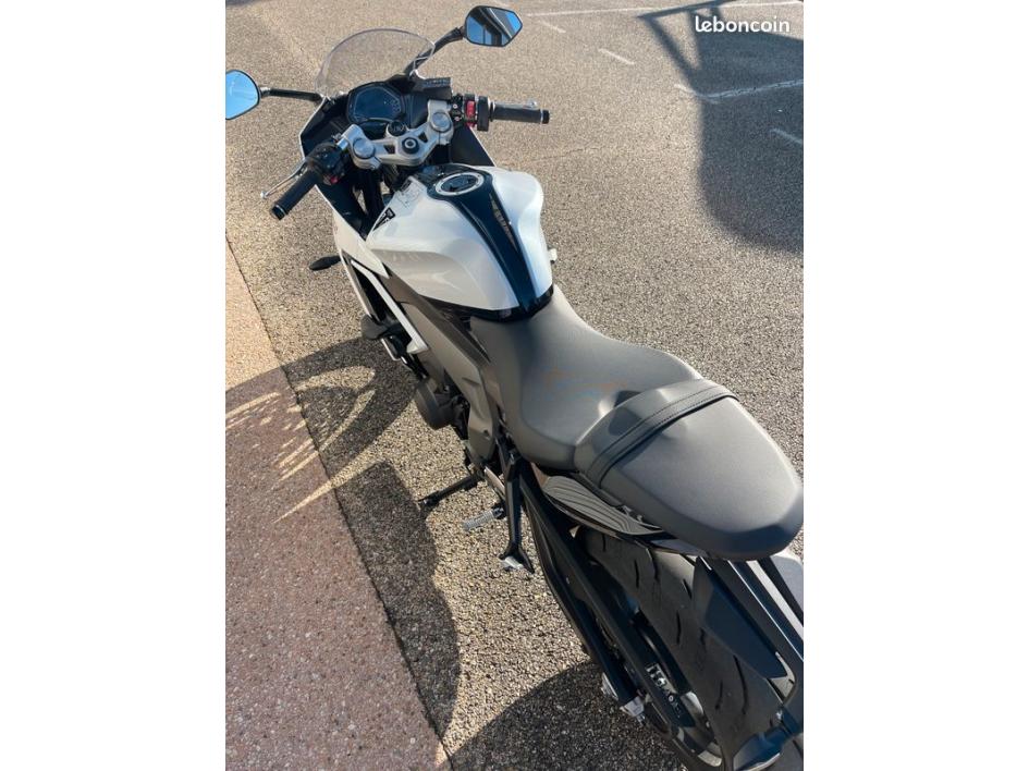 TRIUMPH 	DAYTONA 660